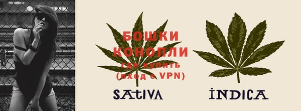 гашик Кулебаки