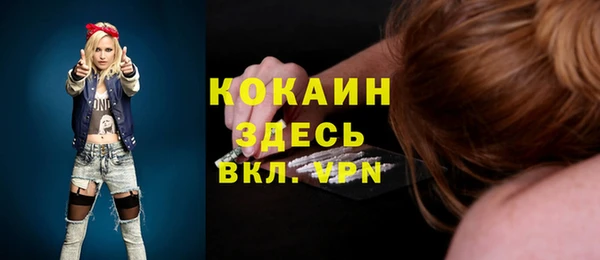 гашик Кулебаки