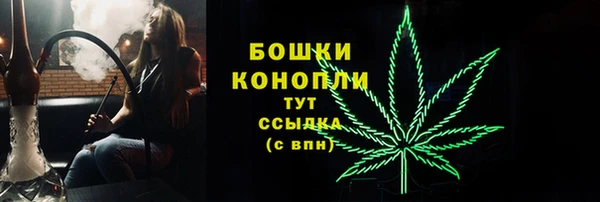 гашик Кулебаки