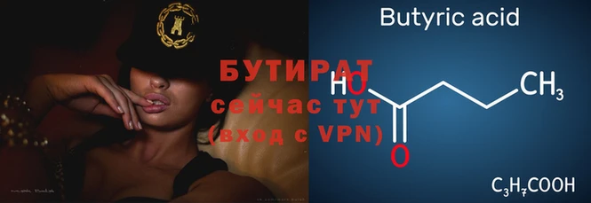 гашик Кулебаки