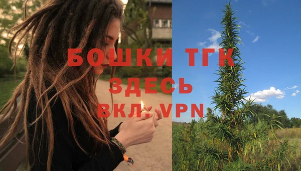 гашик Кулебаки